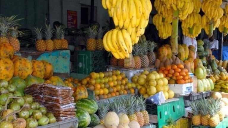 From Bávaro: Higüey Tour with Ranch Horse Ride and Lunch - Why Choose This Tour?