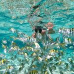 From Bavaro, Punta Cana: Boat Party, Snorkeling, Drinks, Snacks, and Transportation - Practical Details and Tips