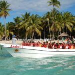 From Bayahíbe: Saona Island Catamaran Cruise with Buffet - Practical Aspects and Value Analysis