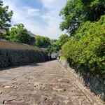 From Beppu: Kitsuki Castle Town and Cultural Experience - An In-Depth Look at What Makes This Tour Special