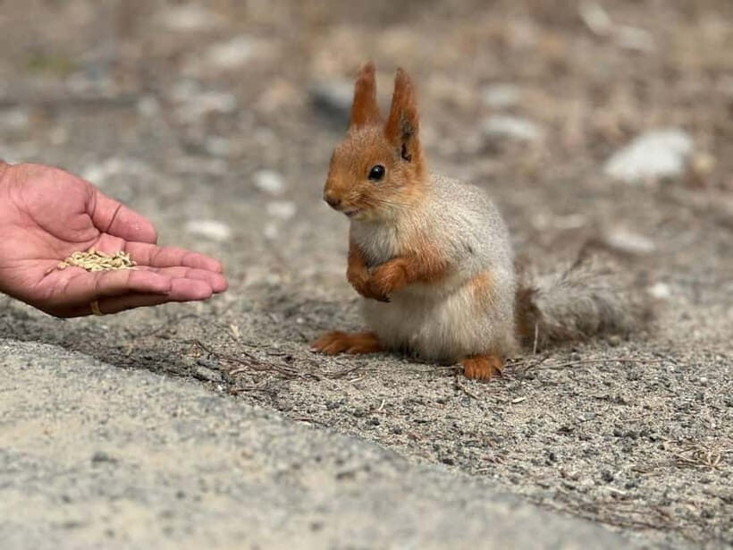 From Bishkek : Adventures to Ala Archa National Park - Local Flavors and Food