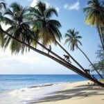 From Bridgetown: Barbados Coast To Coast Half-Day Tour - A Deep Dive into the Tour Experience