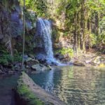 From Brisbane: Tamborine Mountain and Paradise Point Tour - How the Tour Fits Your Travel Style