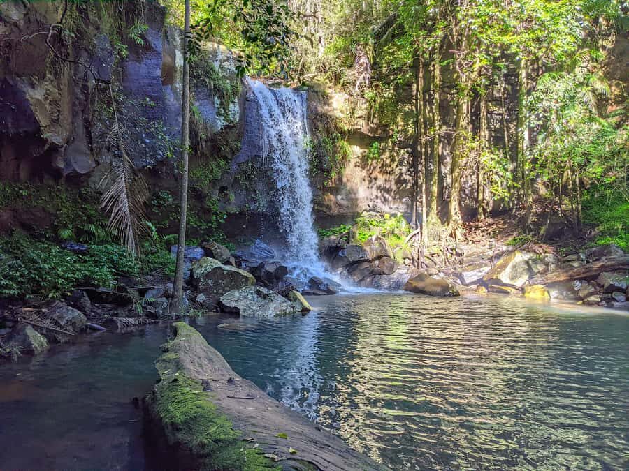From Brisbane: Tamborine Mountain and Paradise Point Tour - How the Tour Fits Your Travel Style