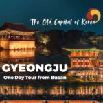 From Busan: Gyeongju Full-Day Historical Tour - Practical details and what to expect