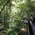 From Cairns: 2-Day Waterfall and Daintree Tour - Exploring the Itinerary in Detail