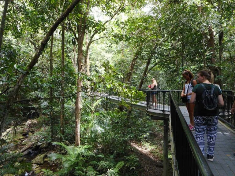 From Cairns: 2-Day Waterfall and Daintree Tour - Exploring the Itinerary in Detail