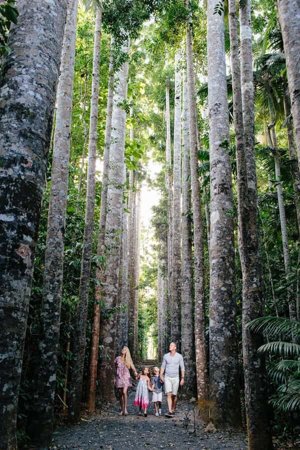 From Cairns: Atherton Tablelands and Paronella Park Day Trip - Who Should Book This Tour?
