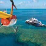 From Cairns: Moore Reef, Fitzroy Island Tour with Helicopter - Practical Details and Tips