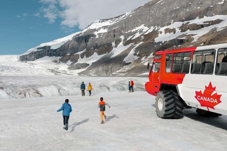 From CalgaryColumbia Icefield, Peyto & Bow Lakes Day Trip - Peyto Lake – The Wolf-Head Shaped Treasure