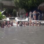 From Castries: St.Lucia Island Guided Tour - The Value of a Guided Tour