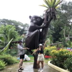 From Cebu: Bohol Countryside Tour Day Trip with Buffet Lunch - Practical Details and Considerations