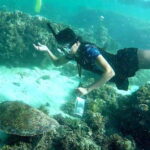 From Cebu City: Moalboal Pescador Snorkeling Tour + Lunch - What Makes This Tour Special