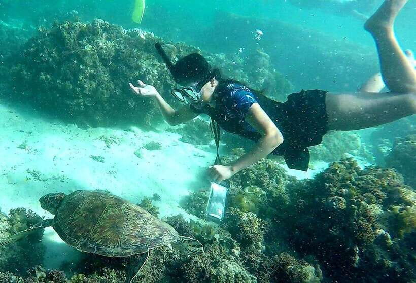 From Cebu City: Moalboal Pescador Snorkeling Tour + Lunch - What Makes This Tour Special