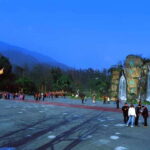 From Chengdu: Mount Emei Day Trip with Golden Summit Visit - Why This Tour Offers Great Value