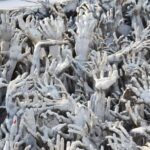 From Chiang Mai: Chiang Rai One Day Private Tour - Authentic Insights from Reviewers