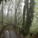 From Chiang Mai: Doi Inthanon National Park Day Trip - A Deep Dive into the Doi Inthanon Day Trip