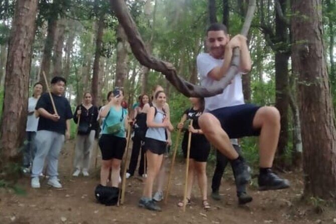 From Chiang Mai: Doi Inthanon Park & Pha Dok Siew Waterfall Hike - Who This Tour Is Best For