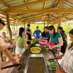 From Chiang Mai: Elephant Sanctuary & Pad Thai Workshop - What Sets This Tour Apart