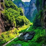 From Chongqing: 7-Day Tour with Wulong, Dazu and Chengdu - What Makes This Tour Stand Out