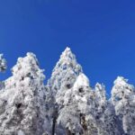 From Chongqing: Wawu Mountain 2-Day Winter Scenic Tour - The Sum Up
