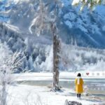 From Chongqing Winter 2-Day Bipenggou Snow Tour - The Itinerary in Detail