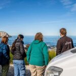 From Christchurch: Kaikura Day Tour With Dolphin Encounter - What Makes This Tour Stand Out