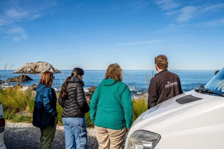 From Christchurch: Kaikura Day Tour With Dolphin Encounter - What Makes This Tour Stand Out
