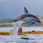 From Christchurch: Private Kaikoura Tour with Guide - Detailed Itinerary Breakdown