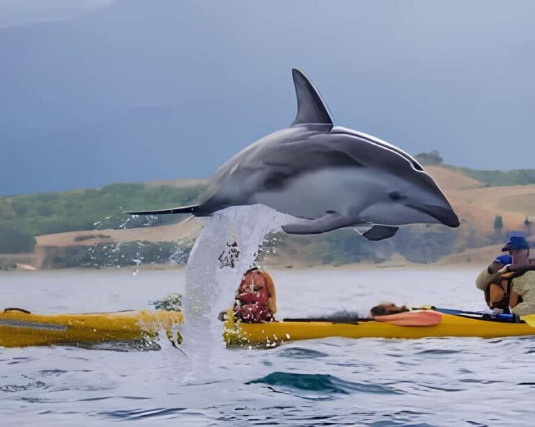 From Christchurch: Private Kaikoura Tour with Guide - Detailed Itinerary Breakdown