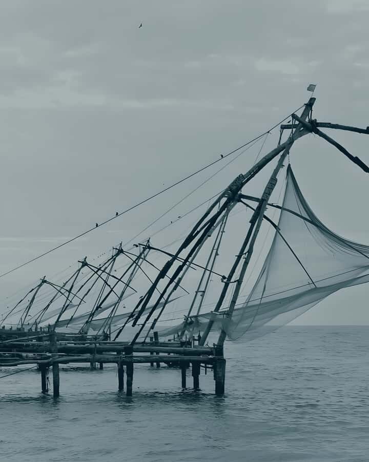 From Cochin Guided Tour of Fort Kochi with Drop at Kumarakom - The Practical Side: What to Expect