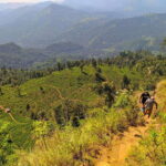 From Colombo: 3-Day Hill Country Escape with Train Ride - What’s Included and What’s Extra?