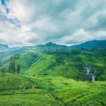 From Colombo: 4-Day Sri Lanka Tour with Elephant Orphanage - Overall Value and Suitability