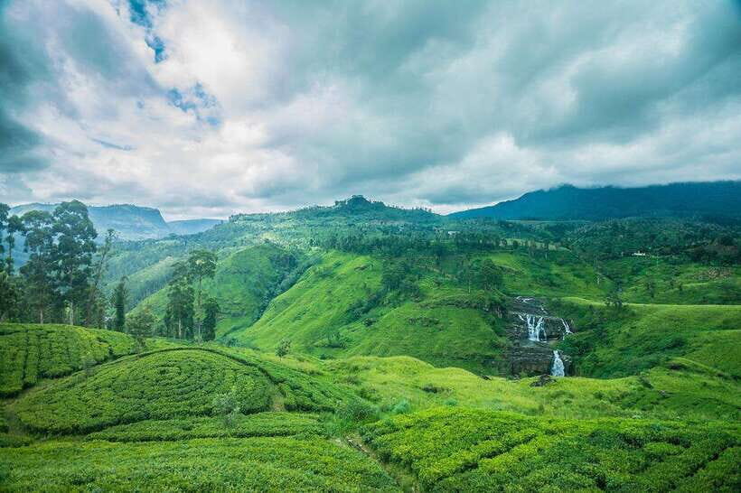 From Colombo: 4-Day Sri Lanka Tour with Elephant Orphanage - Overall Value and Suitability