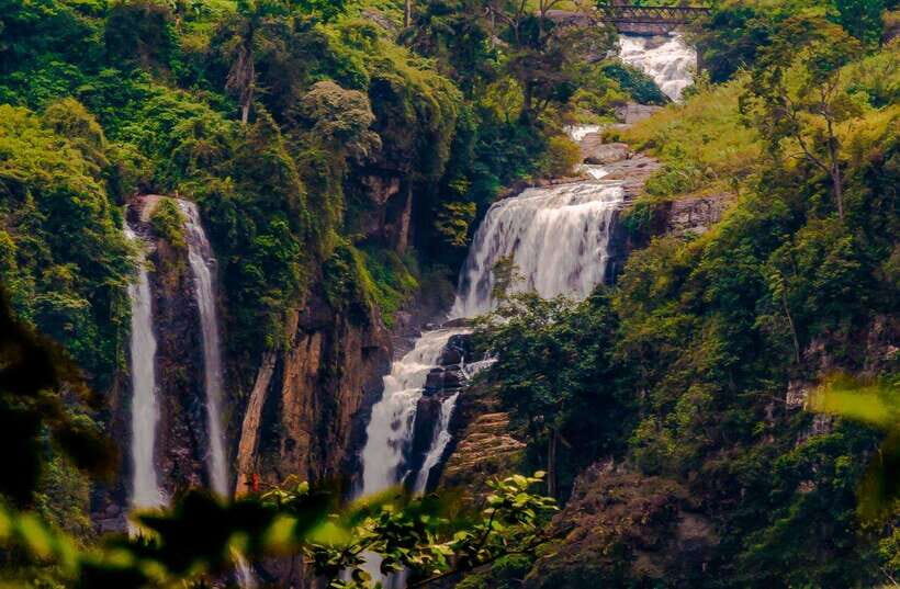 From Colombo: 4-Day Sri Lanka Tour with Elephant Orphanage - Day 2: Adventure in the Highlands and Tea Exploration