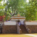 From Colombo: Anuradhapura Guided Day Tour of Ancient Ruins - Who Should Take This Tour?