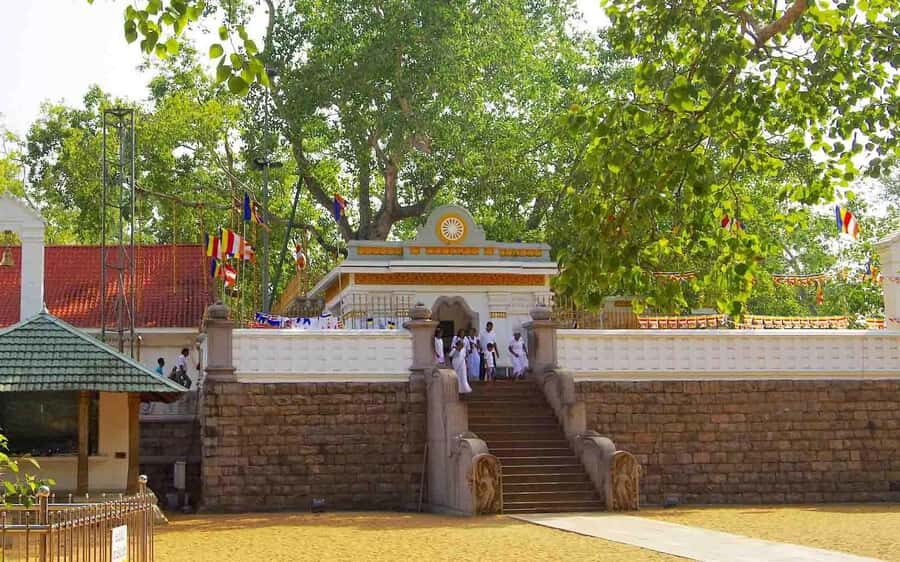 From Colombo: Anuradhapura Guided Day Tour of Ancient Ruins - Who Should Take This Tour?