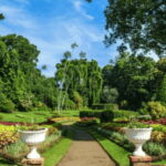 From Colombo: Kandy and Tea Plantations Day Trip - Exploring the Temple of the Sacred Tooth Relic