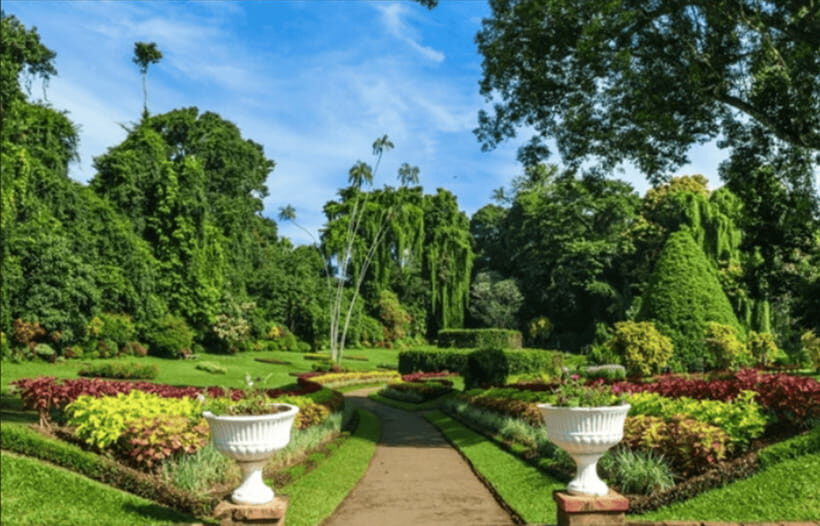 From Colombo: Kandy and Tea Plantations Day Trip - Exploring the Temple of the Sacred Tooth Relic