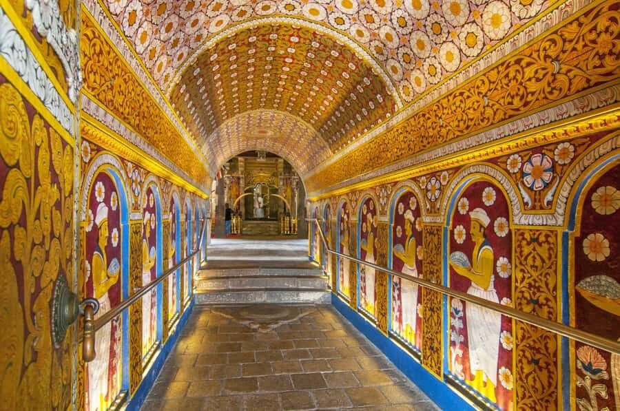 From Colombo & Negombo: Elephant Orphange and Kandy day Trip - Transportation and Timing