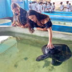 From Colombo/Negombo: Galle, Madu River, and Turtle Hatchery - Practical Details & Tips