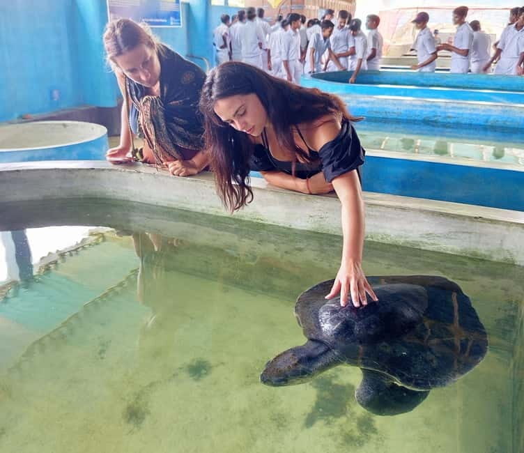 From Colombo/Negombo: Galle, Madu River, and Turtle Hatchery - Practical Details & Tips