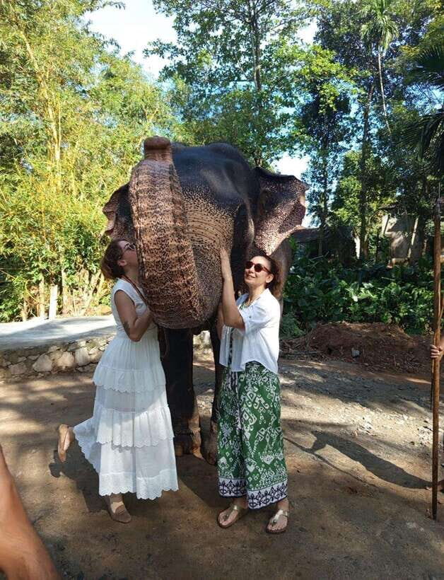 From Colombo or Negombo: Pinnawala, Kandy & Tea Factory Tour - Who Will Love This Tour?