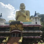 From Colombo to Sigiriya & Dambulla Day Tour - Practical Details and What to Keep in Mind