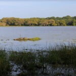 From Colombo: Wilpattu National Park Safari - The Practicalities: What’s Included and What Not