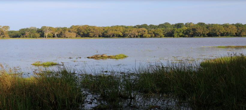 From Colombo: Wilpattu National Park Safari - The Practicalities: What’s Included and What Not