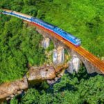 From Da Nang Hue Imperial City and Heritage Train - Value and Pricing