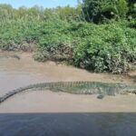 From Darwin: Kakadu 2-Day Tour - Why This Tour Offers Great Value