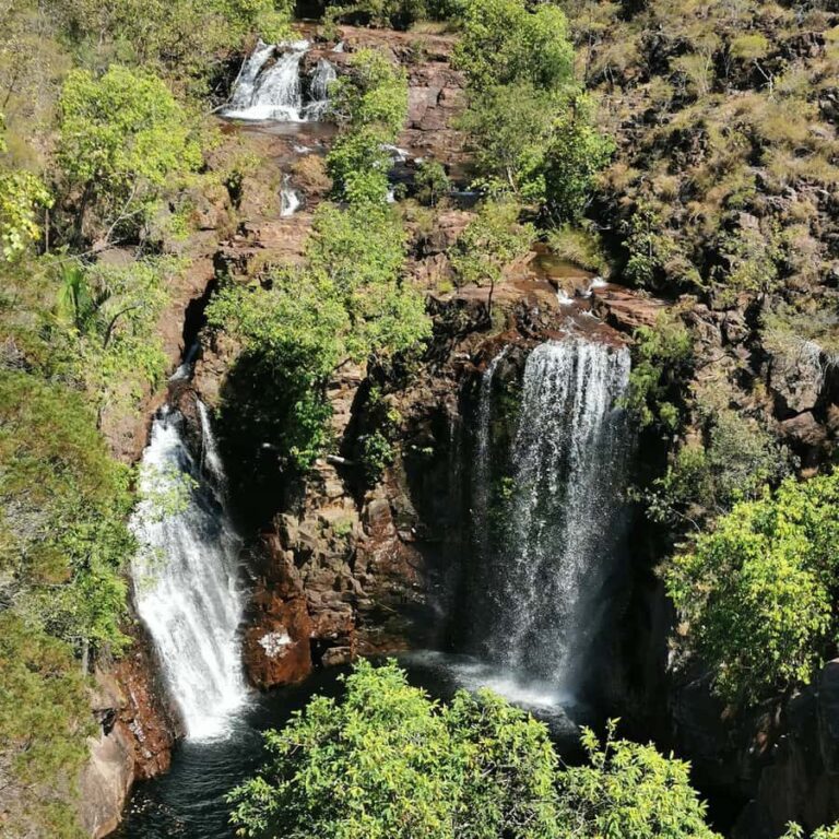 From Darwin: Litchfield National Park Small-Group Day Trip - The Itinerary Breakdown