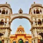 From Delhi: 1-day trip Mathura with Elephant conservation - What Makes This Tour Worth Considering